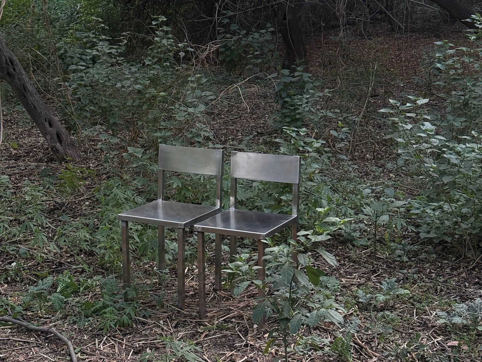 two steel chairs in the undergrowth