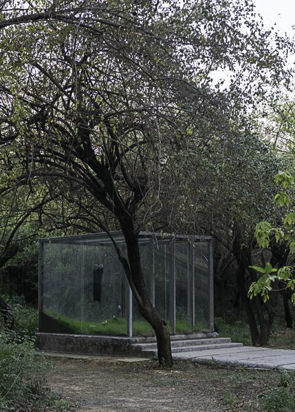 a glass pavilion among the trees