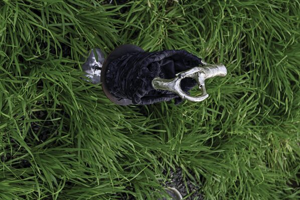 an object resting in the grass