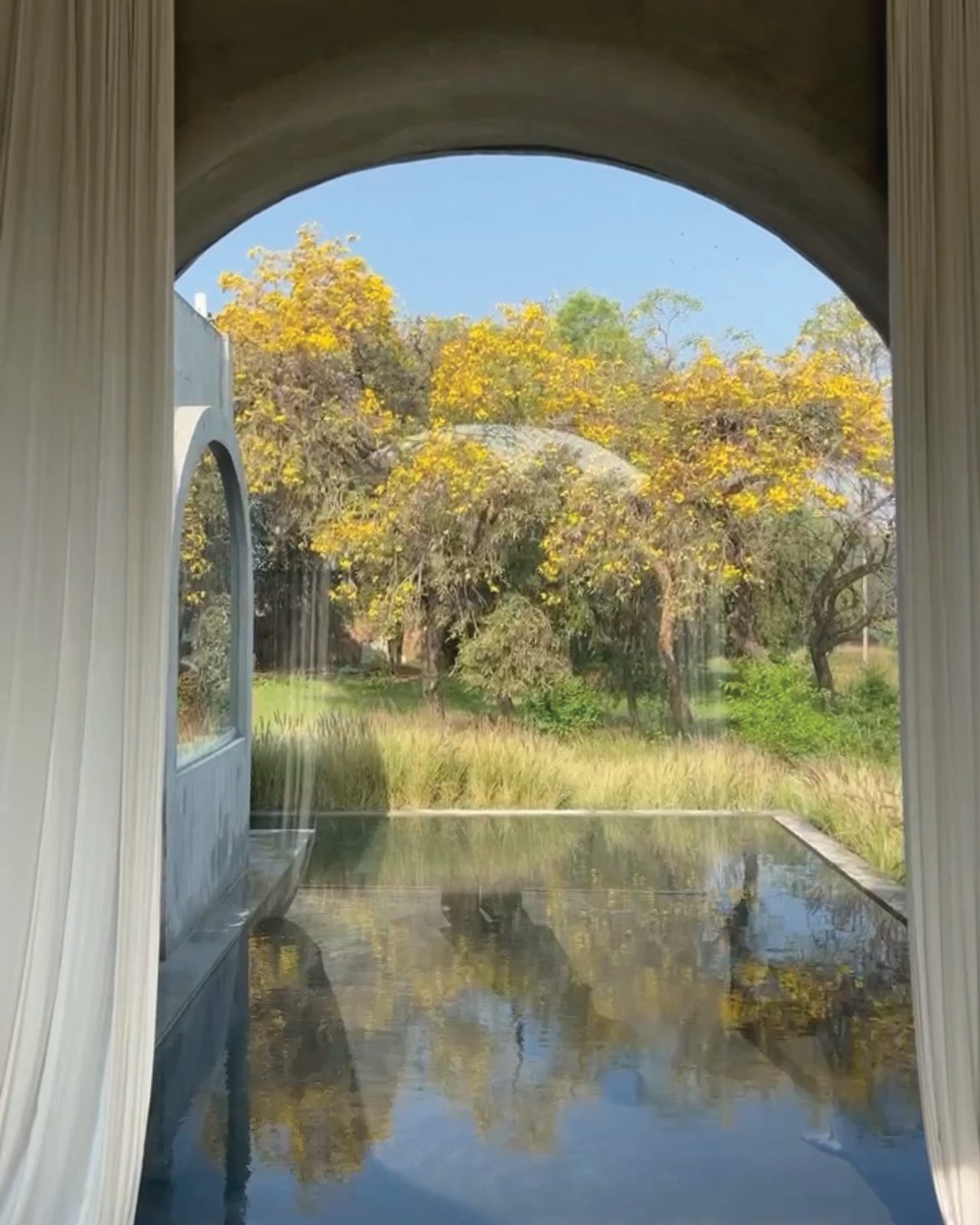 the forest seen through an arch, over a reflecting pool