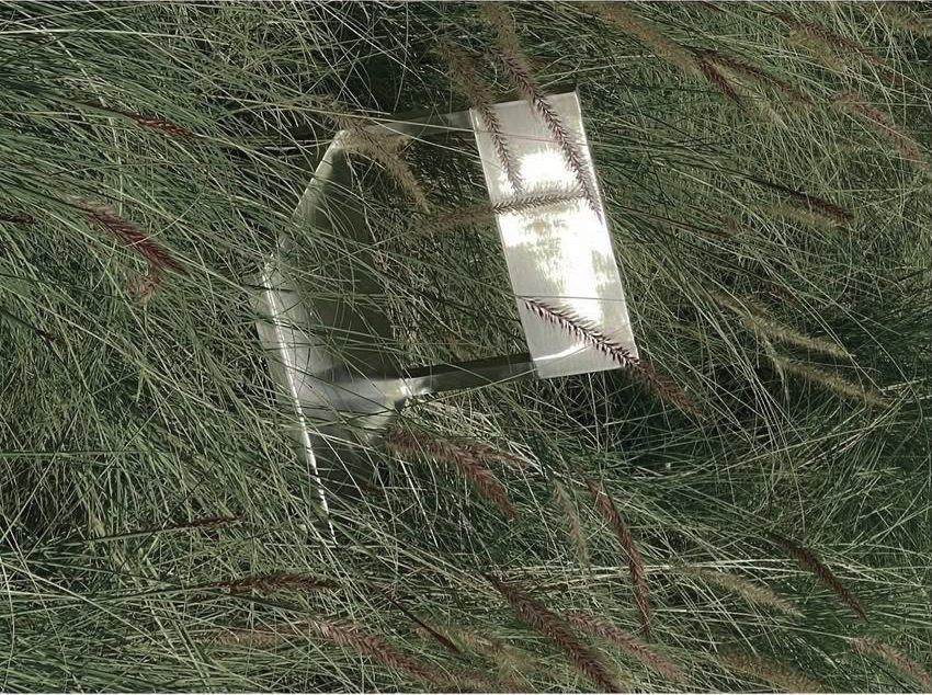 a glass form among the grasses